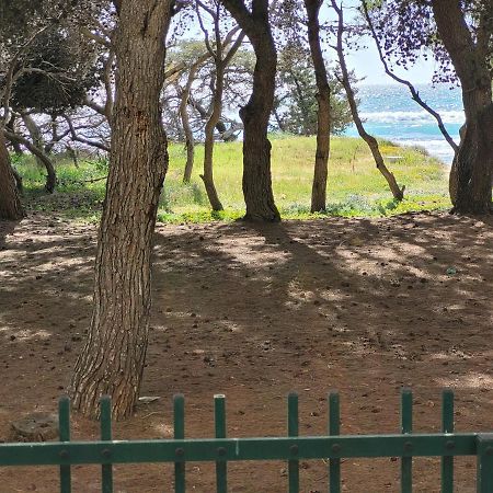 Fronte Pineta Mare Rivabella Apartment Exterior foto