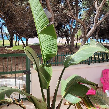 Fronte Pineta Mare Rivabella Apartment Exterior foto