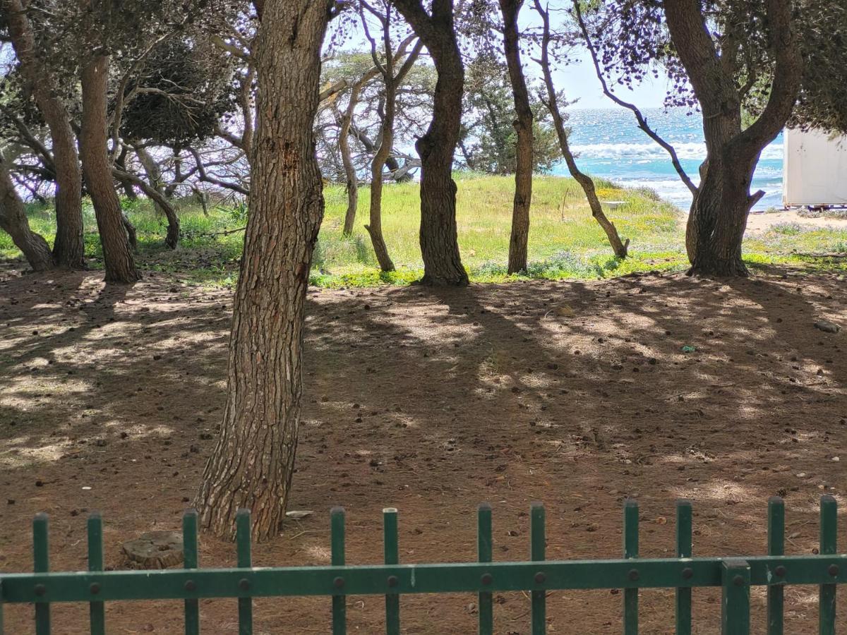 Fronte Pineta Mare Rivabella Apartment Exterior foto