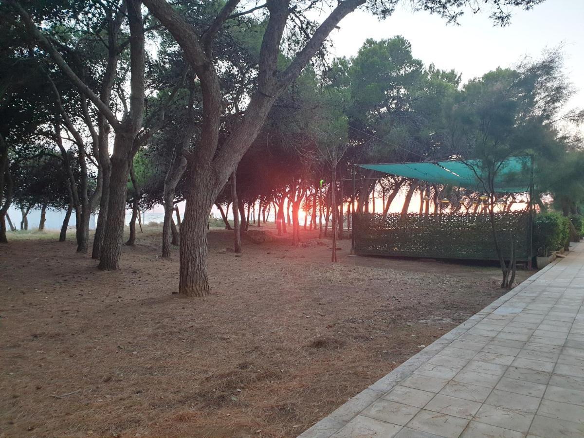 Fronte Pineta Mare Rivabella Apartment Exterior foto